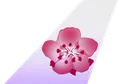 China Airlines tail