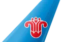 China Southern Airlines tail