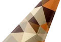 Etihad Airways tail