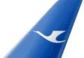 Xiamen Air tail