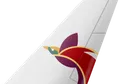 Air Niugini tail