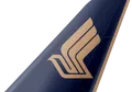 Singapore Airlines tail