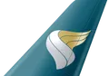 Oman Air tail