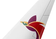 Air Niugini tail livery