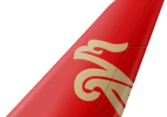 Shenzhen Airlines tail livery