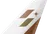 STARLUX tail livery
