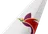 Air Niugini tail livery