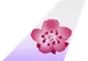 China Airlines tail