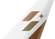 STARLUX tail