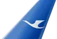 Xiamen Air tail