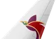 Air Niugini tail