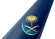 Saudia tail
