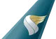 Oman Air tail
