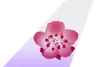 China Airlines tail livery