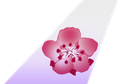China Airlines tail livery