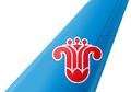 China Southern Airlines tail livery