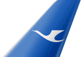 Xiamen Air tail livery
