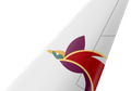 Air Niugini tail livery
