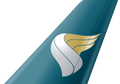 Oman Air tail livery