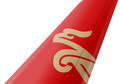 Shenzhen Airlines tail livery
