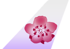 China Airlines tail livery