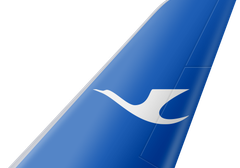Xiamen Air tail livery