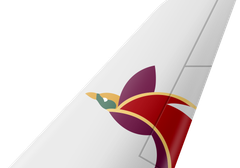 Air Niugini tail livery