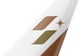 STARLUX tail