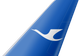 Xiamen Air tail