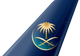 Saudia tail