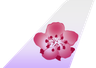 China Airlines tail livery