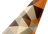 Etihad Airways tail livery